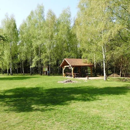 Villa Dom Nasutow Niemce Esterno foto