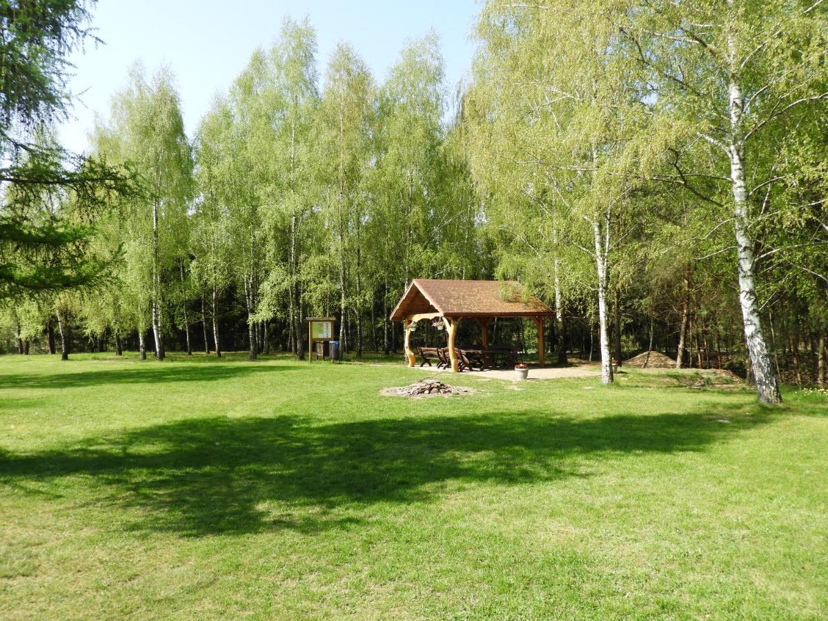 Villa Dom Nasutow Niemce Esterno foto